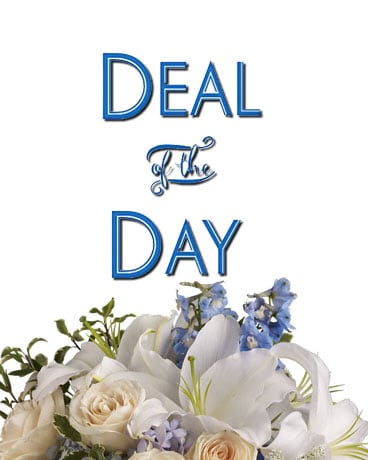 Deal of the Day